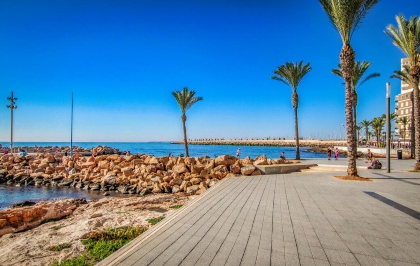 Bungalow Colibri Τορεβιέχα Εξωτερικό φωτογραφία