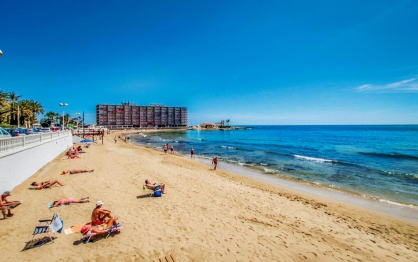 Bungalow Colibri Τορεβιέχα Εξωτερικό φωτογραφία